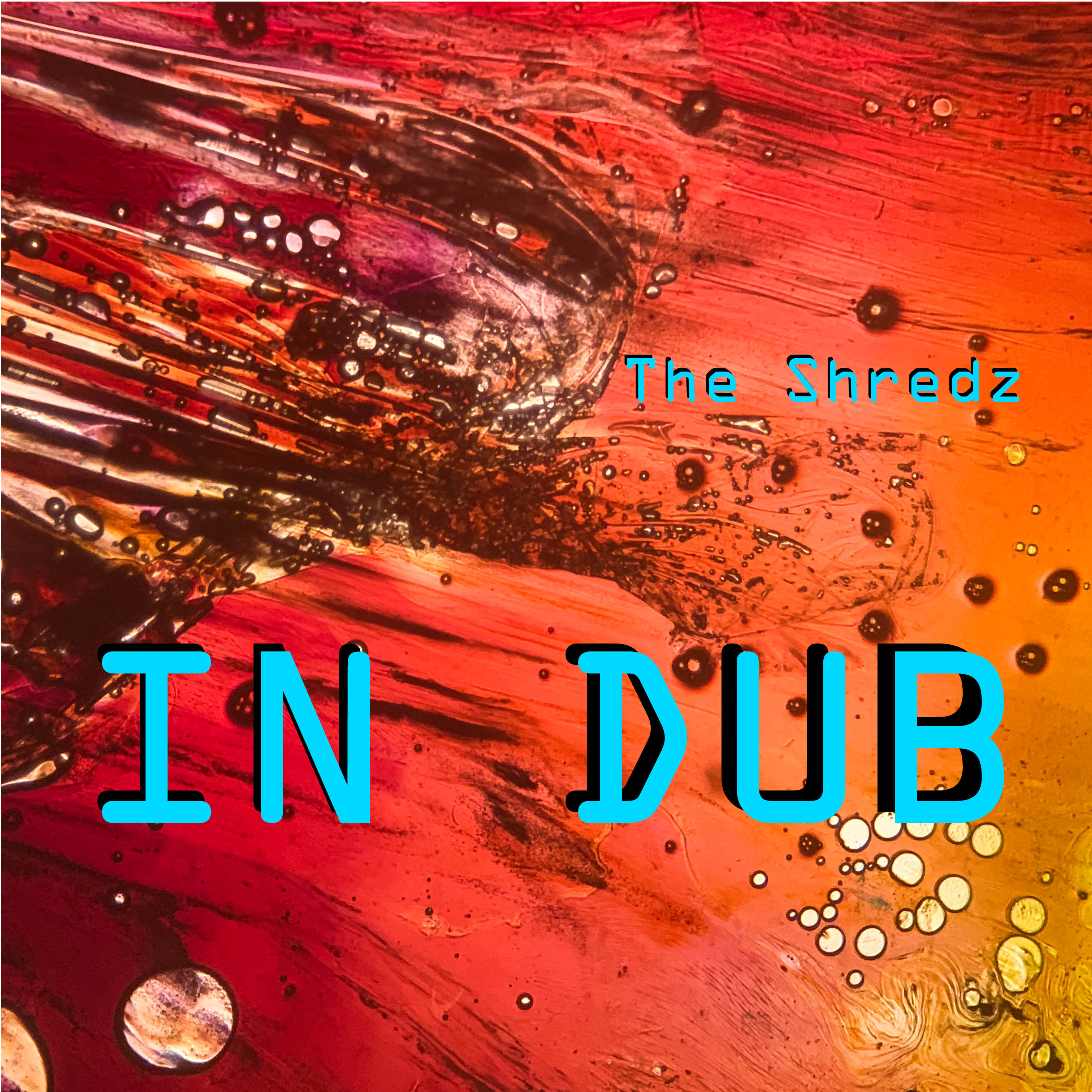 IN DUB Cover